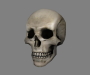 general:items:skull_head.png