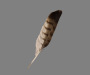 general:items:eagle_feather.png